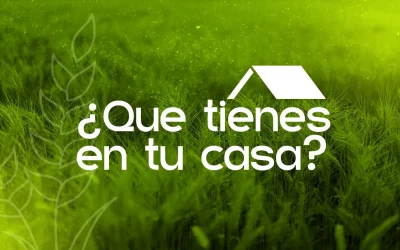 Mana para la semana – Mayo 18