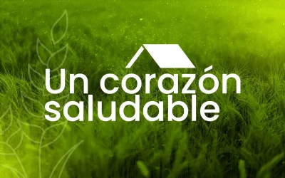 Mana para la semana – Mayo 25
