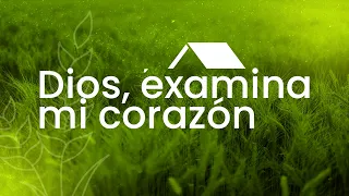 Mana para la semana – Junio 30
