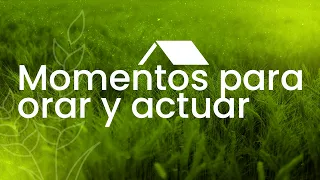 Mana para la semana – Junio 15