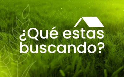 Mana para la semana – Agosto 17
