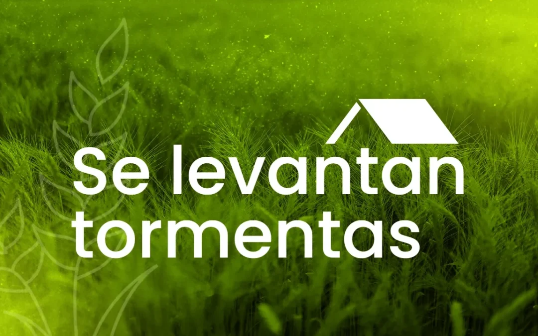 Mana para la semana – Septiembre 14